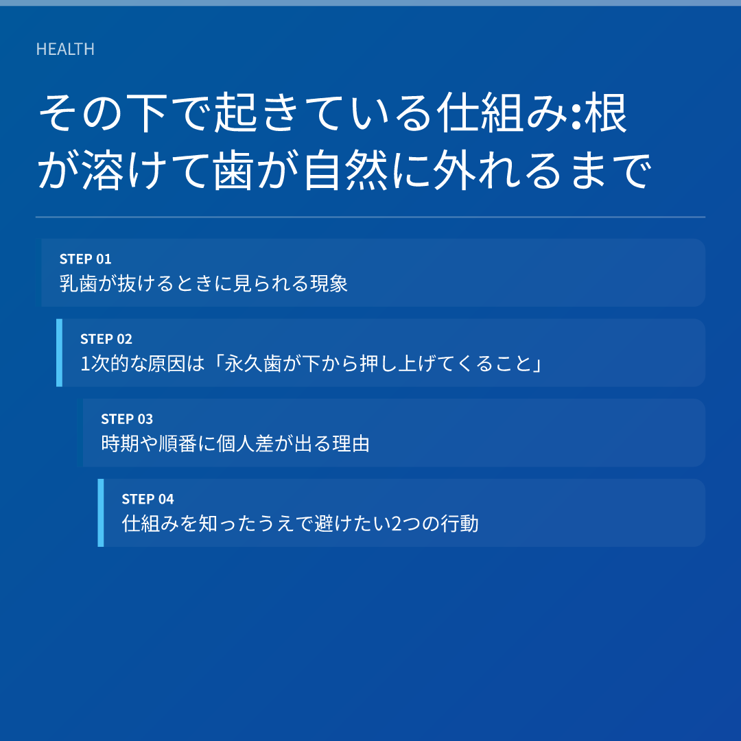 その下で起きている仕組み:根が溶けて歯が自然に外れるまで