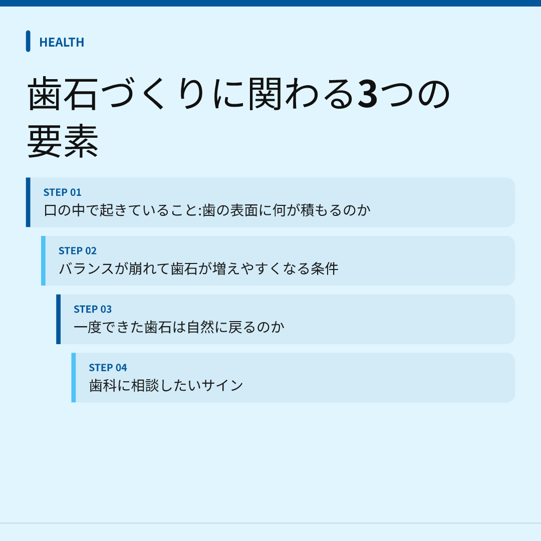 歯石づくりに関わる3つの要素