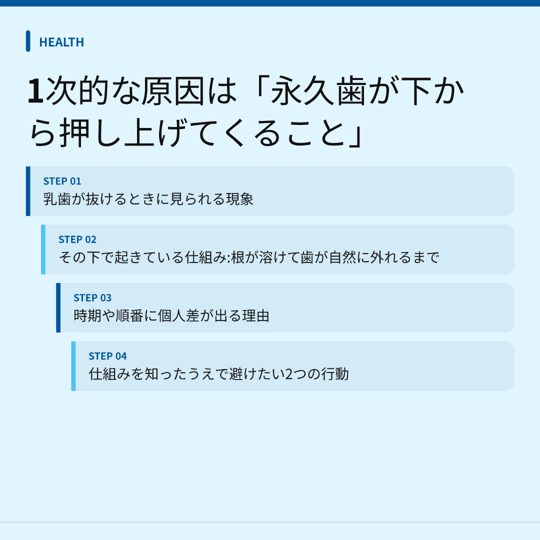 1次的な原因は「永久歯が下から押し上げてくること」