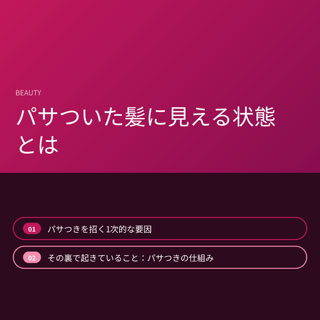 パサついた髪に見える状態とは