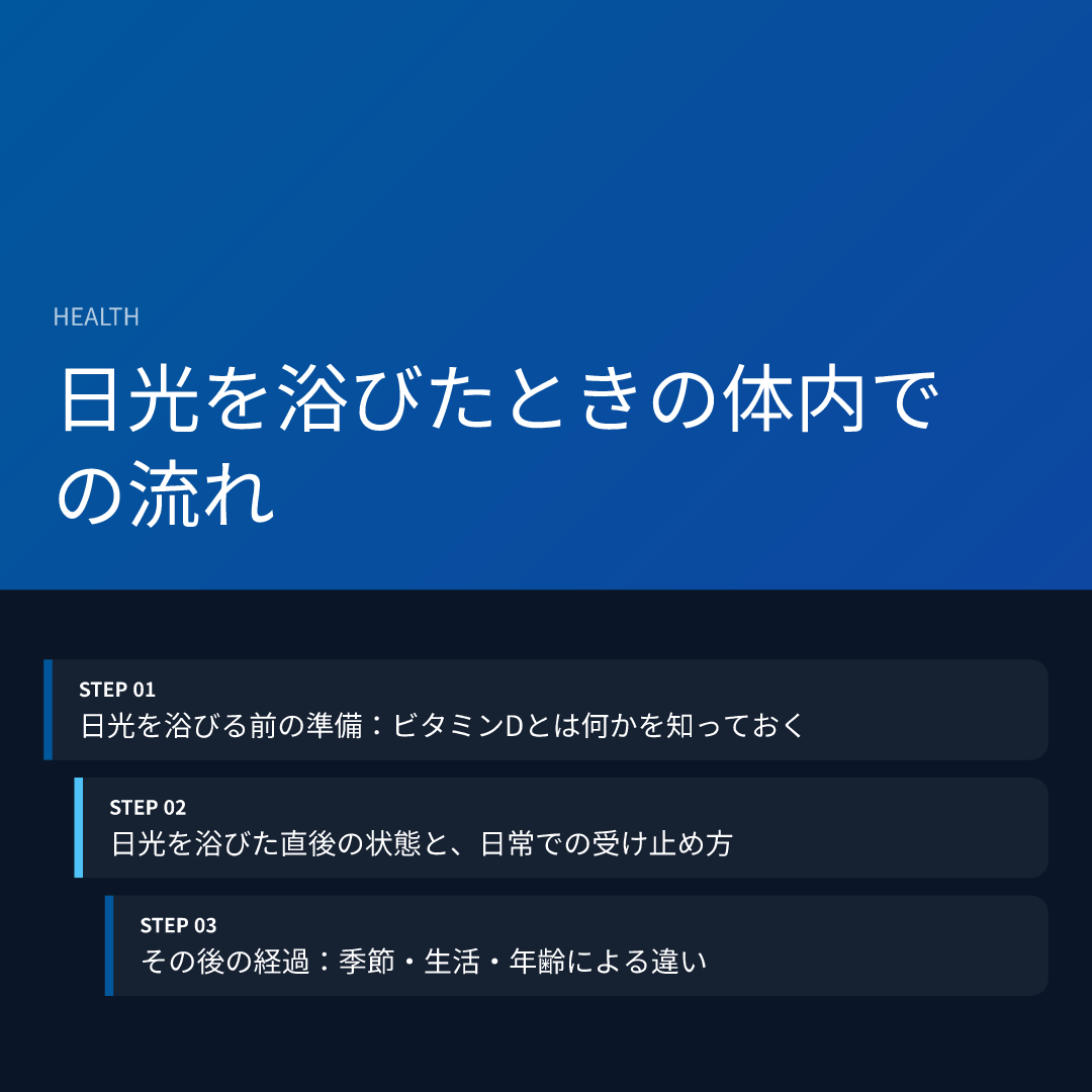 日光を浴びたときの体内での流れ
