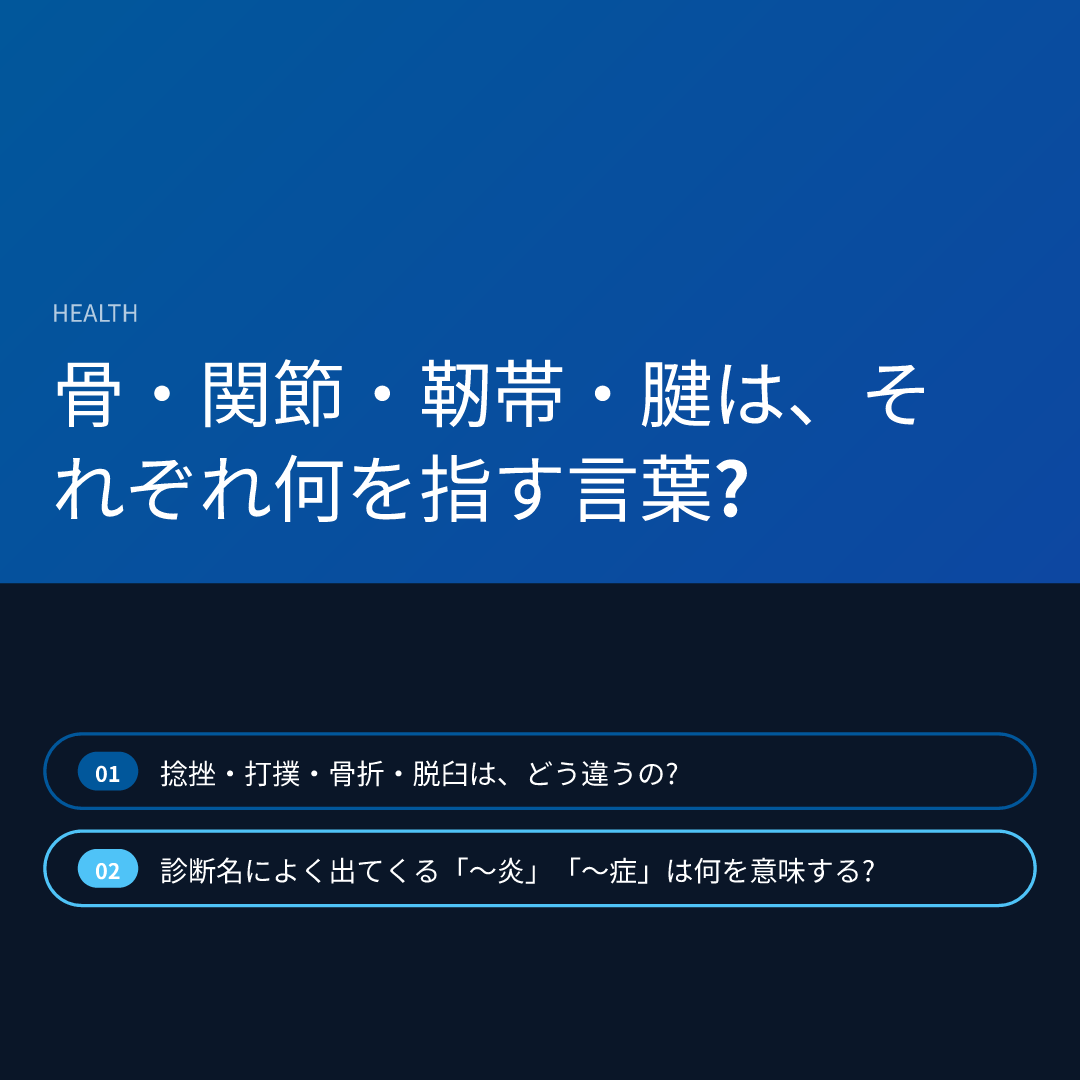 骨・関節・靭帯・腱は、それぞれ何を指す言葉?