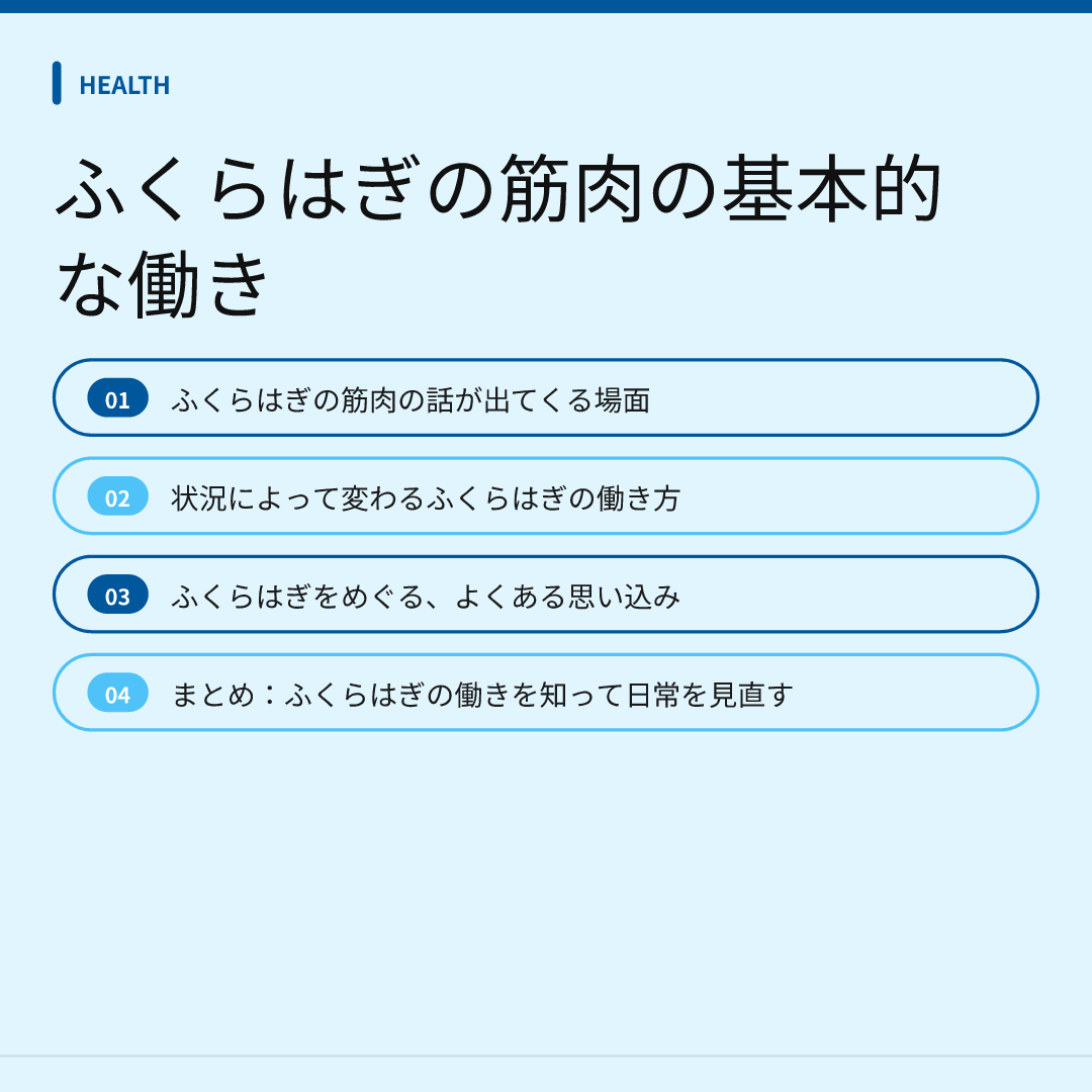 ふくらはぎの筋肉の基本的な働き