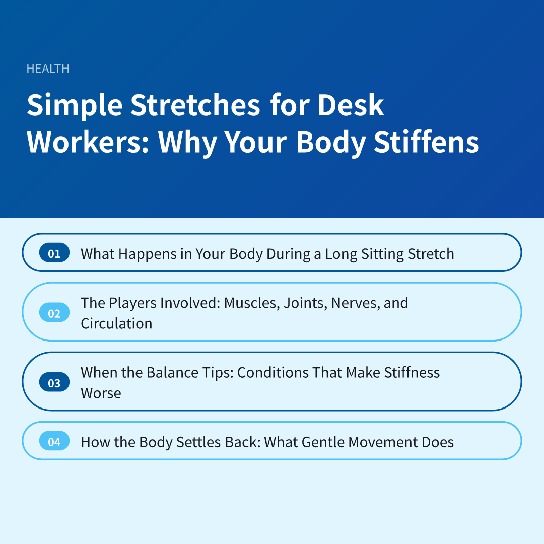 Simple Stretches for Desk Workers: Why Your Body Stiffens - simple stretches for desk workers
