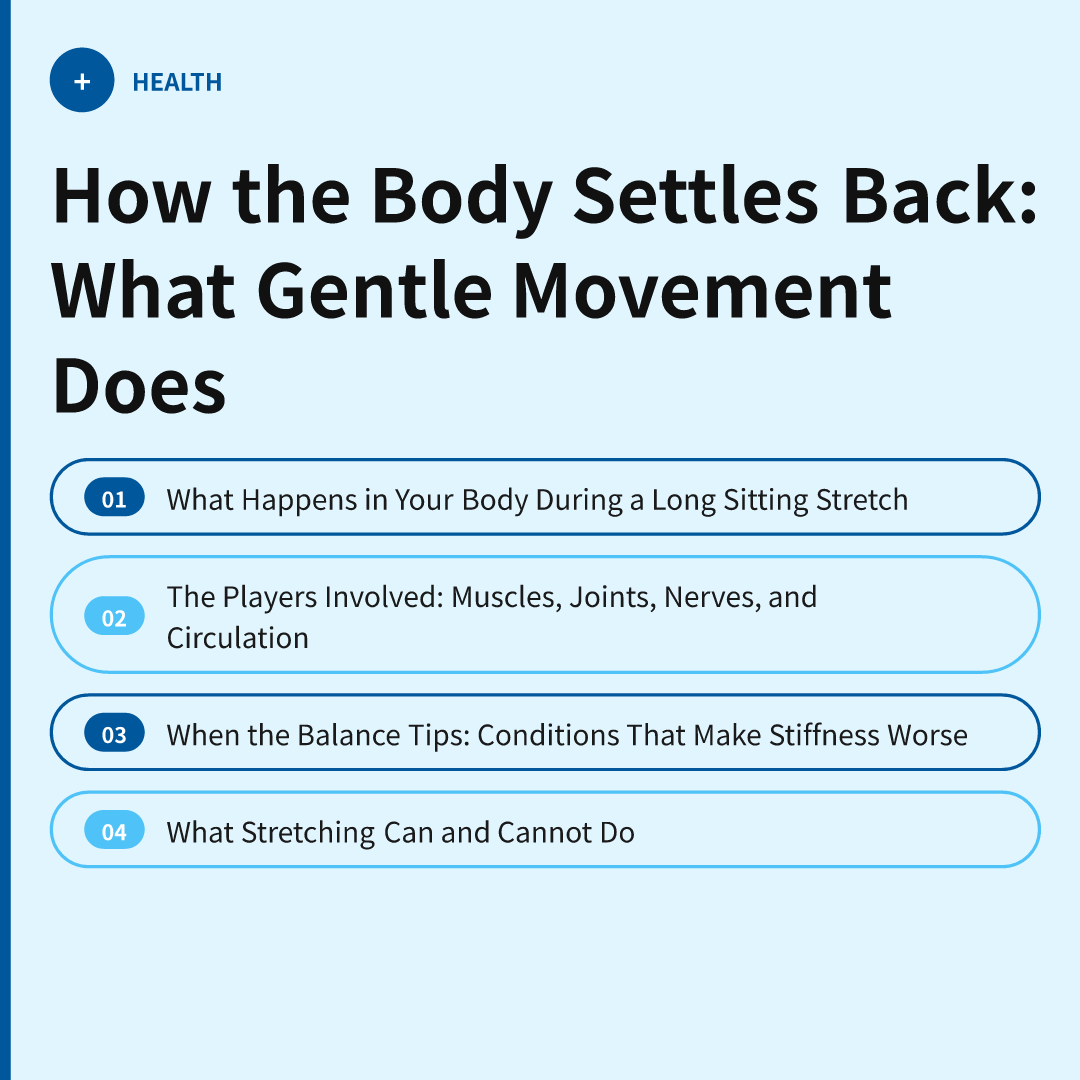 How the Body Settles Back: What Gentle Movement Does
