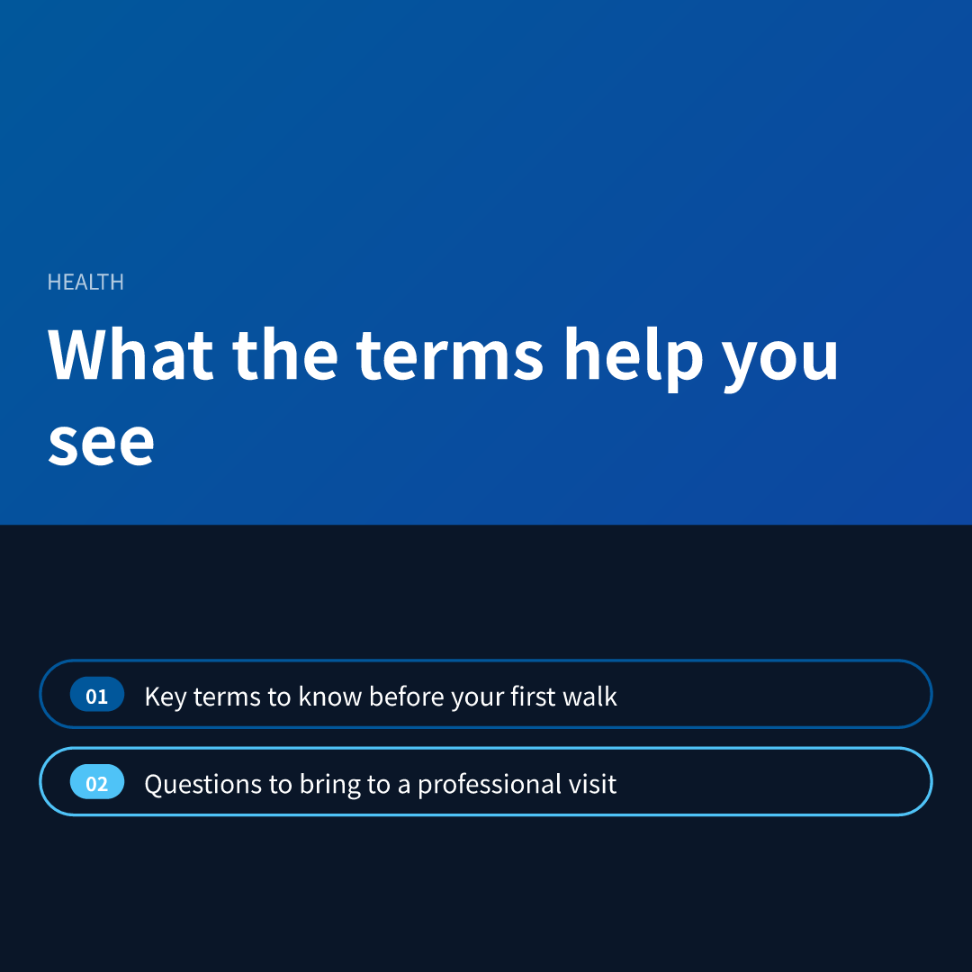 What the terms help you see