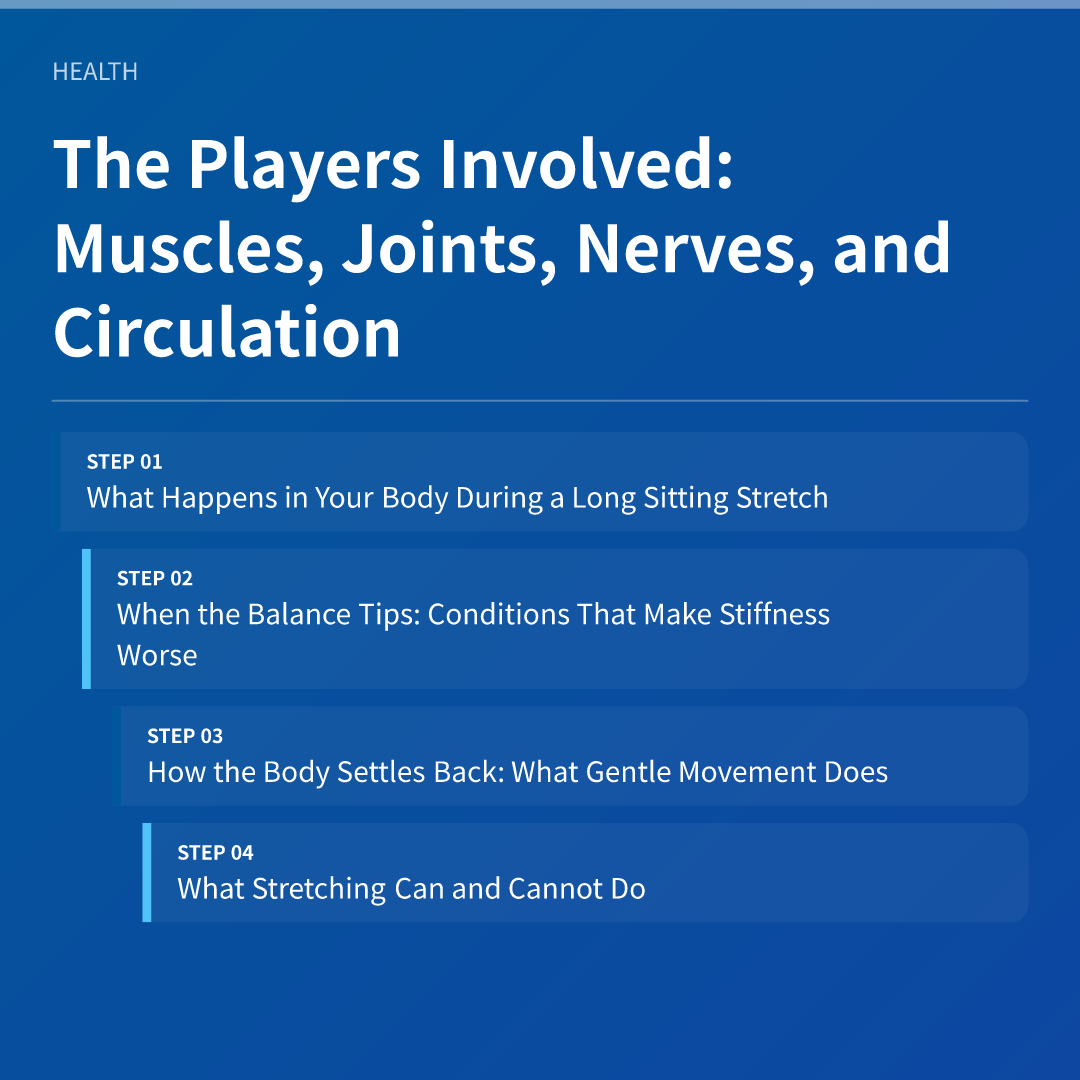The Players Involved: Muscles, Joints, Nerves, and Circulation