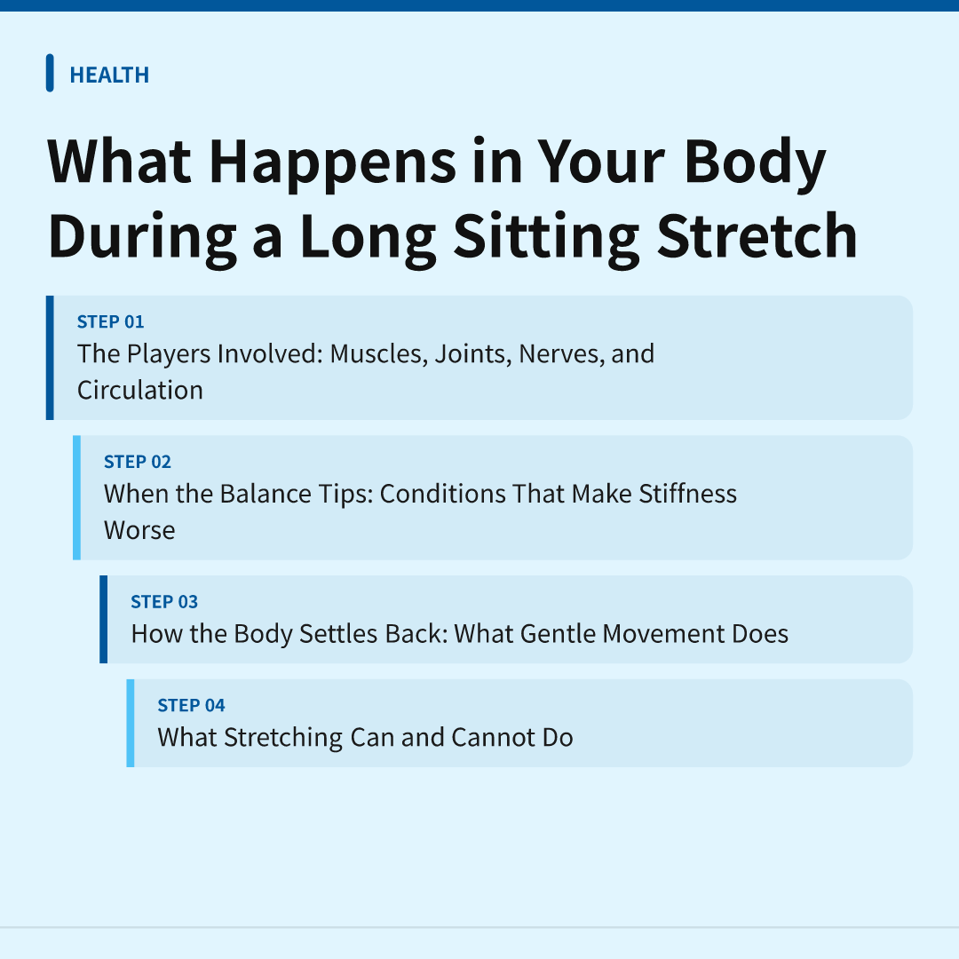 What Happens in Your Body During a Long Sitting Stretch
