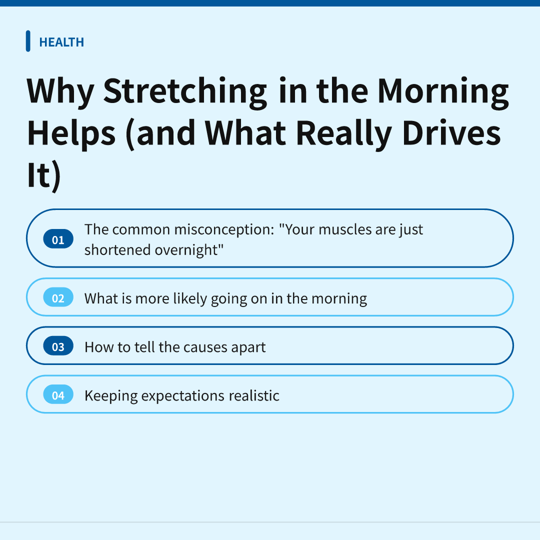 Why Stretching in the Morning Helps (and What Really Drives It) - why stretching in the morning helps