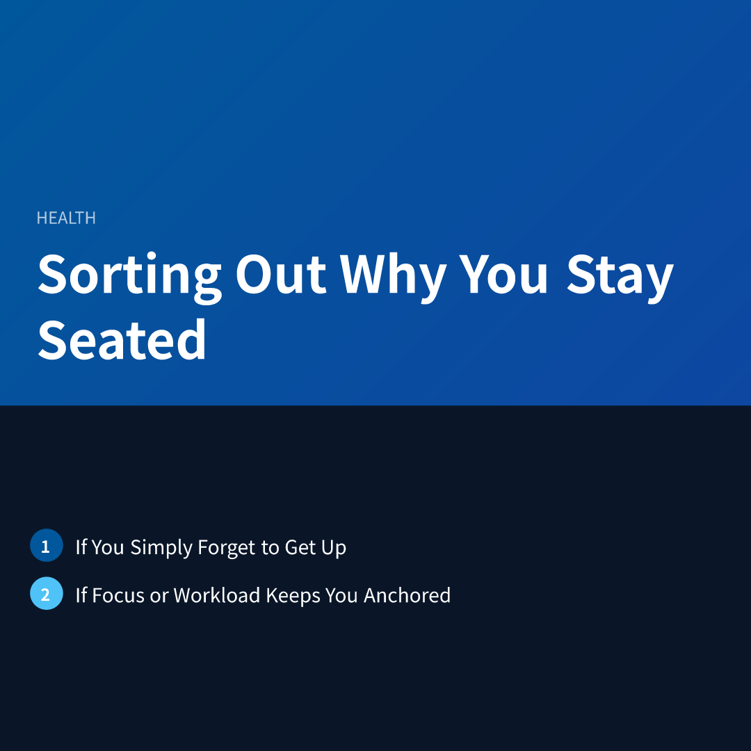 Sorting Out Why You Stay Seated