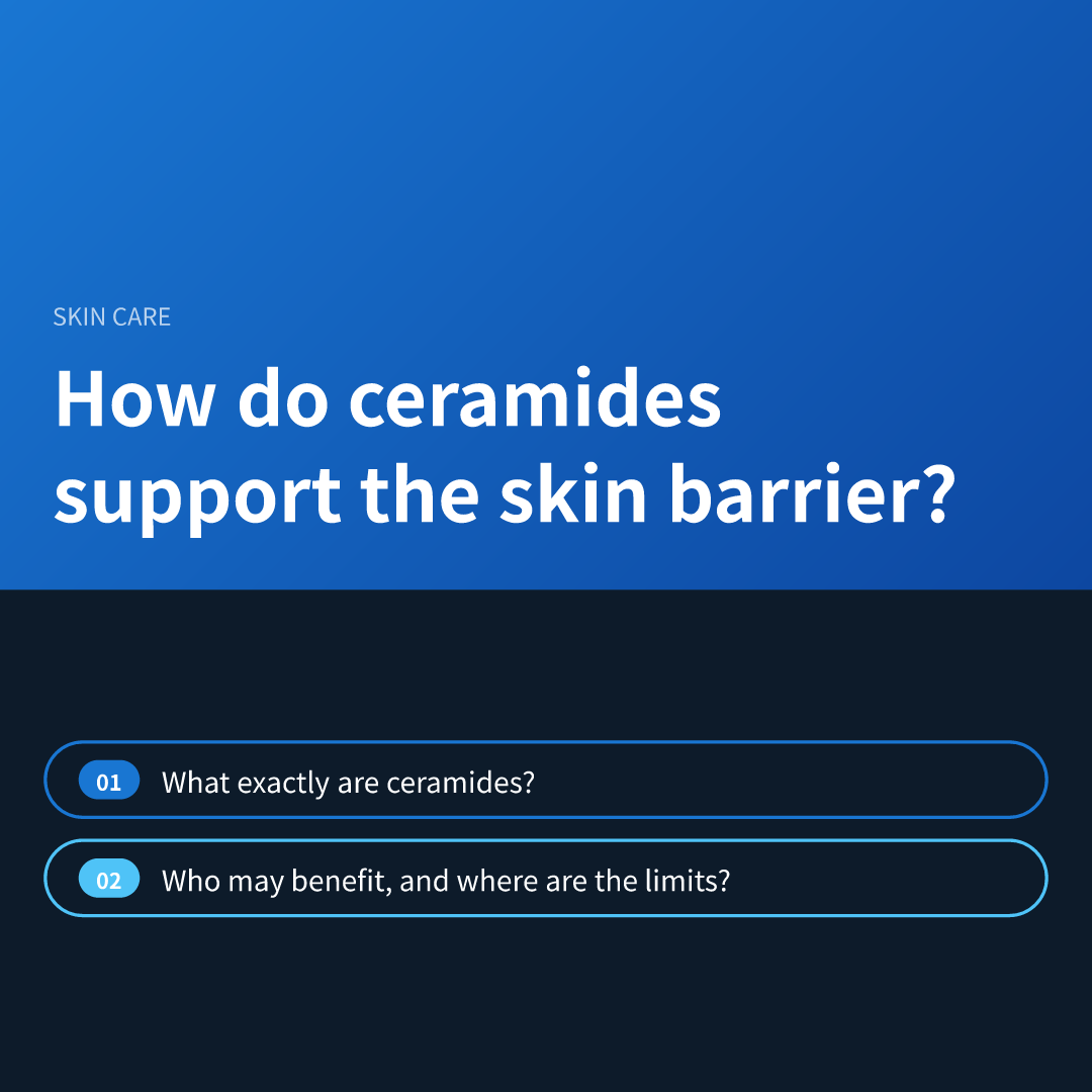How do ceramides support the skin barrier?