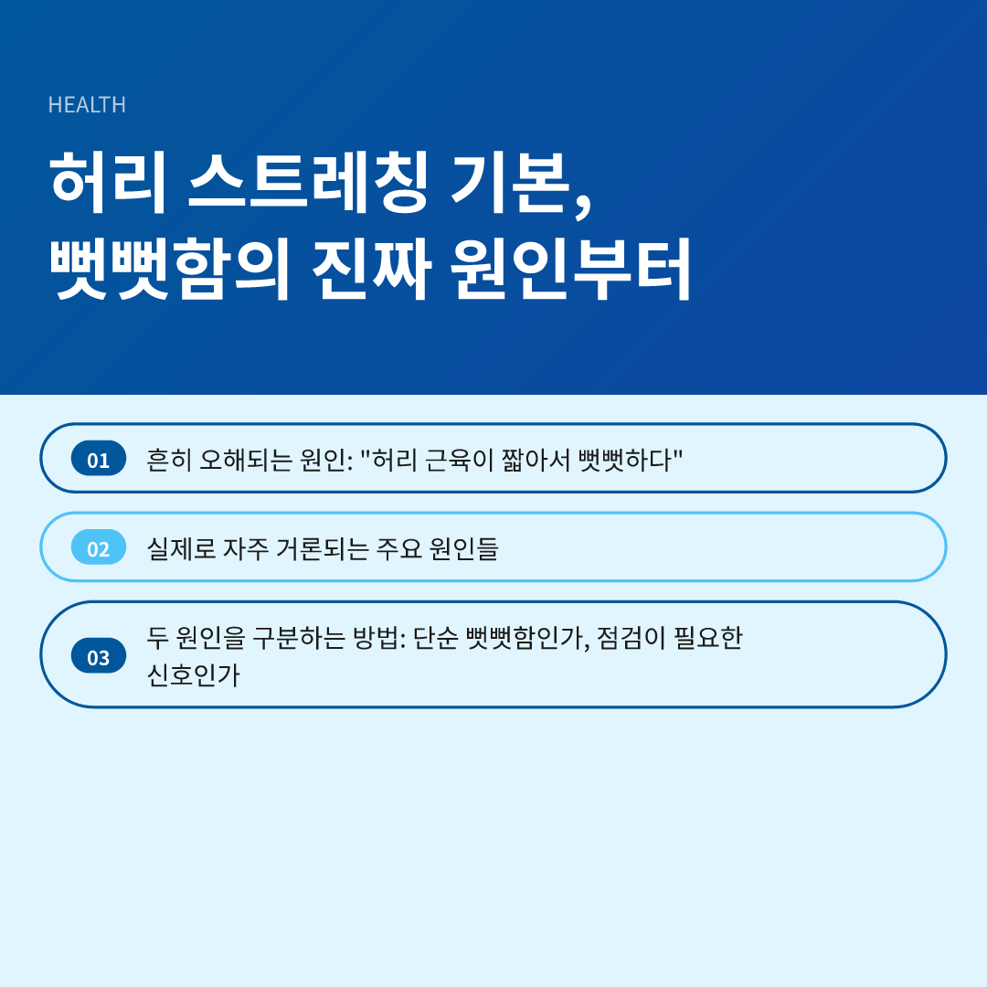 허리 스트레칭 기본, 뻣뻣함의 진짜 원인부터 - 허리 스트레칭 기본