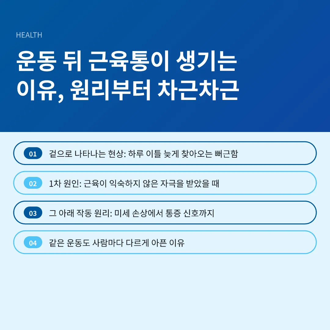 운동 뒤 근육통이 생기는 이유, 원리부터 차근차근 - 운동 뒤 근육통이 생기는 이유