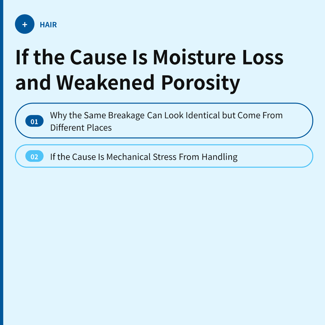 How to Prevent Hair Breakage: Match the Fix to the Real Cause image 3