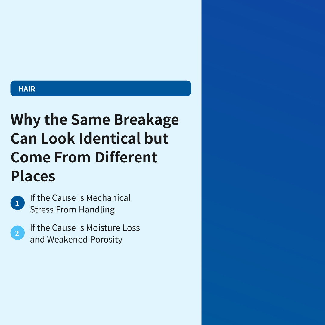 Why the Same Breakage Can Look Identical but Come From Different Places - how to prevent hair breakage