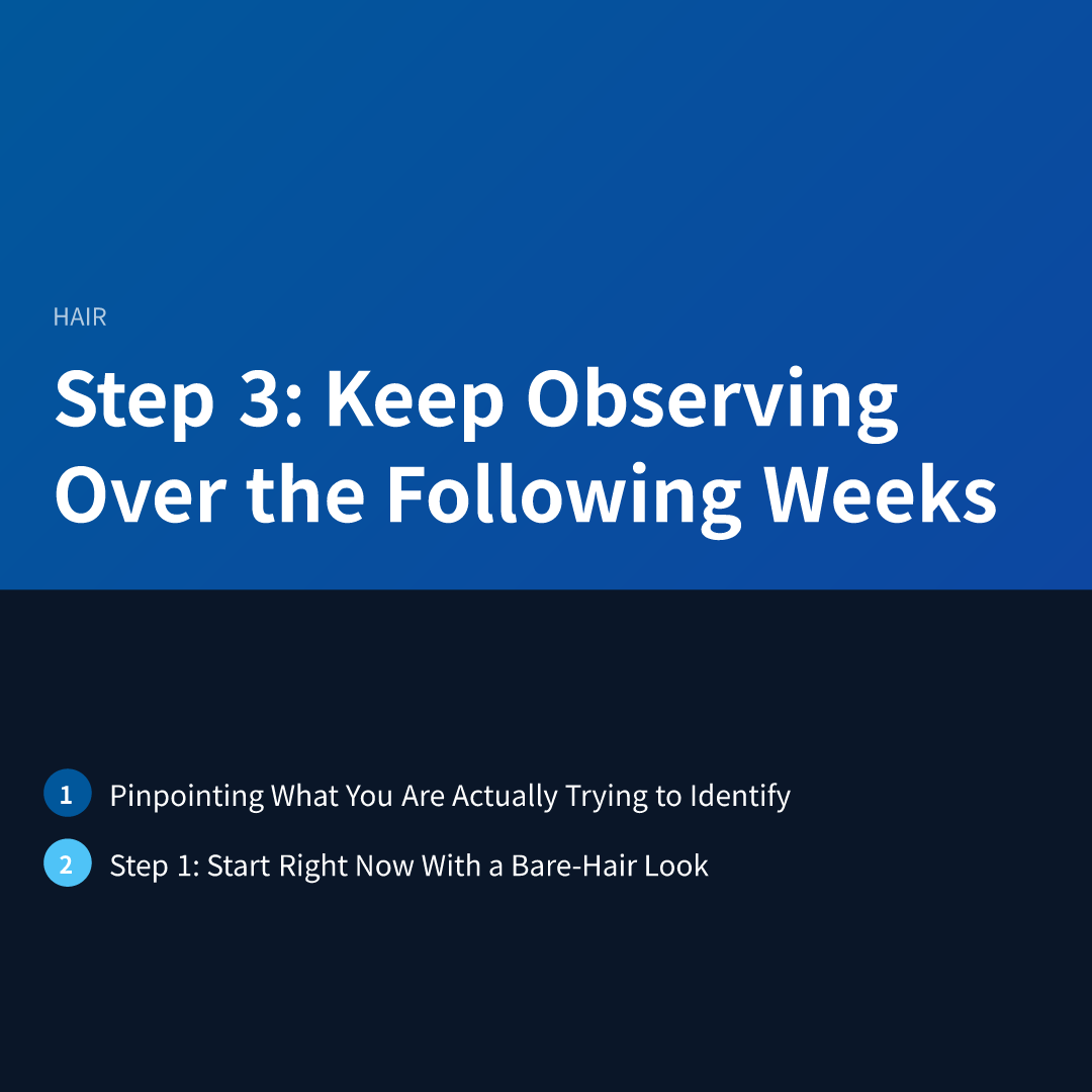 Step 3: Keep Observing Over the Following Weeks