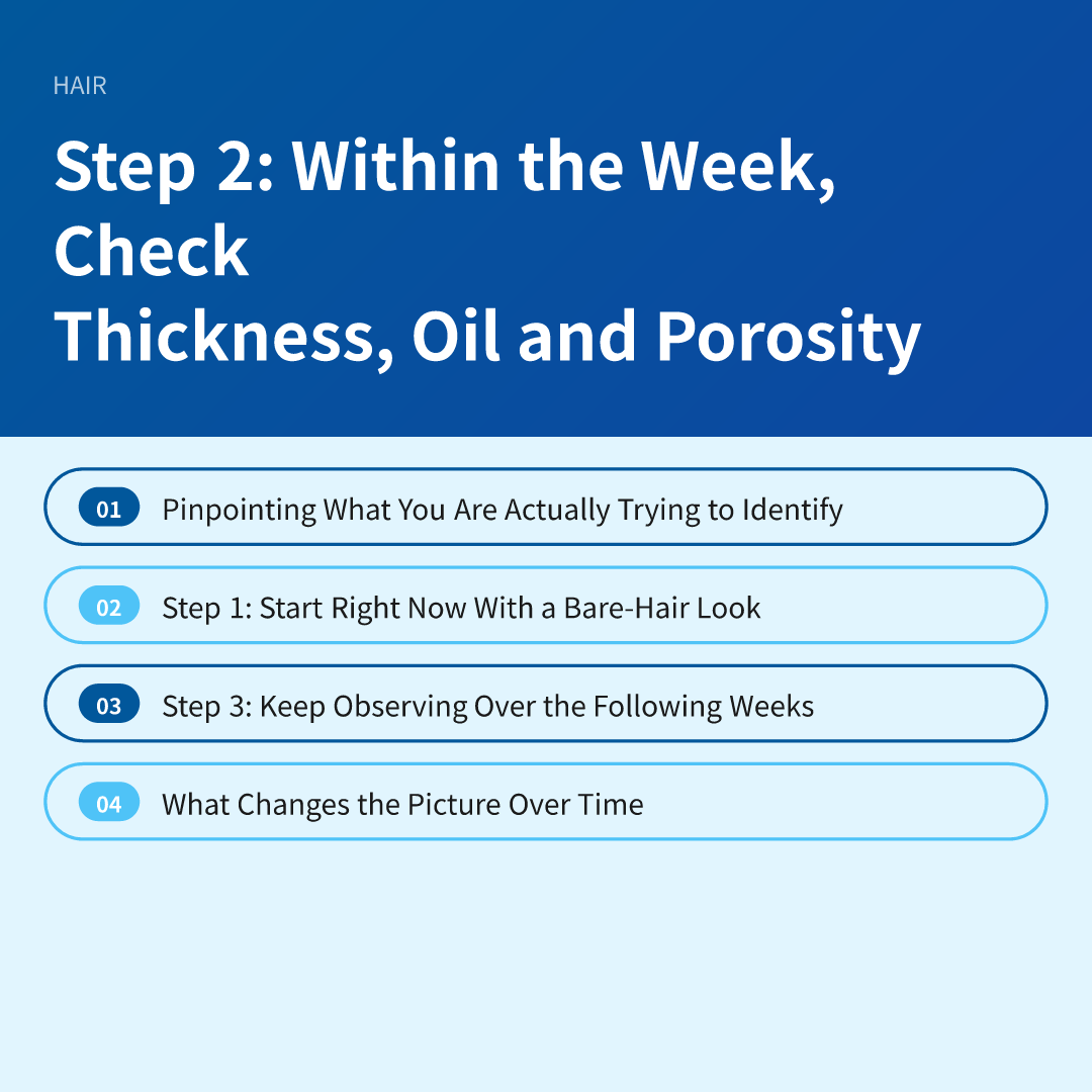 Step 2: Within the Week, Check Thickness, Oil and Porosity