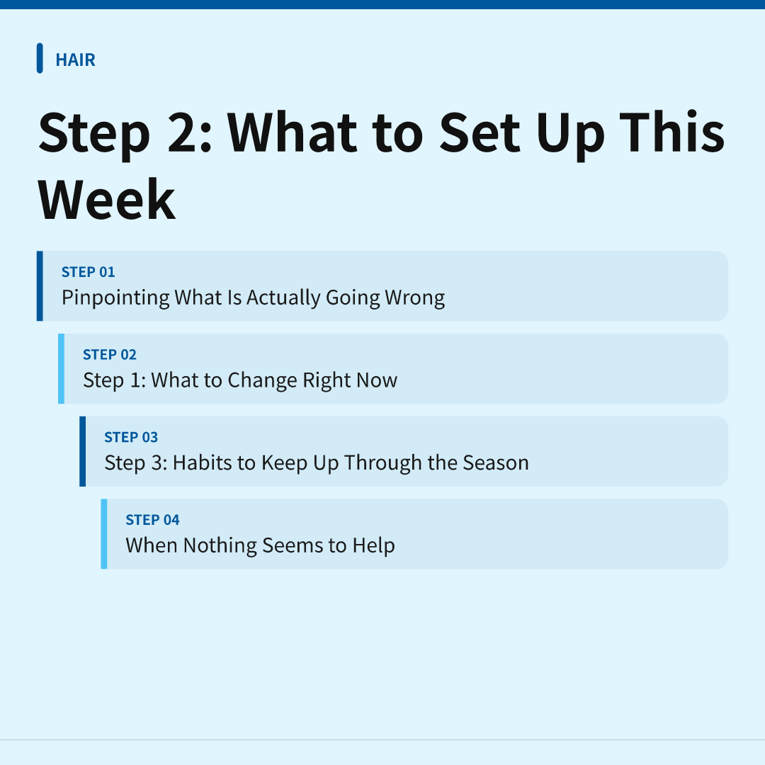 Step 2: What to Set Up This Week