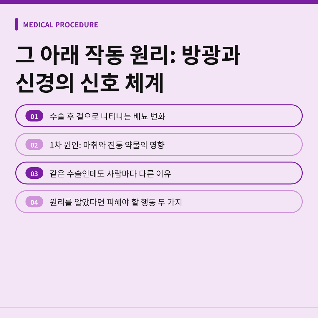 그 아래 작동 원리: 방광과 신경의 신호 체계