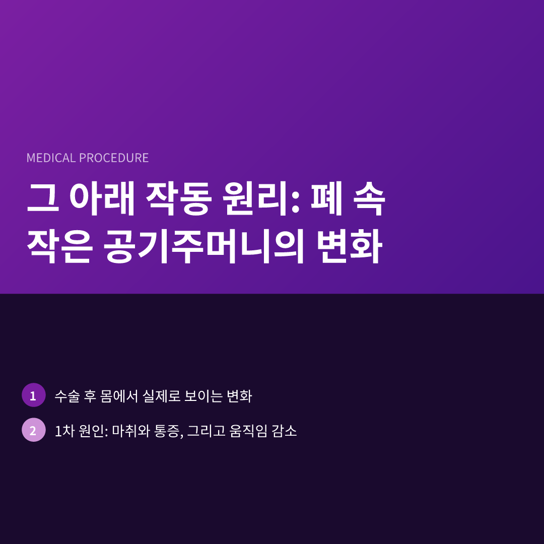그 아래 작동 원리: 폐 속 작은 공기주머니의 변화