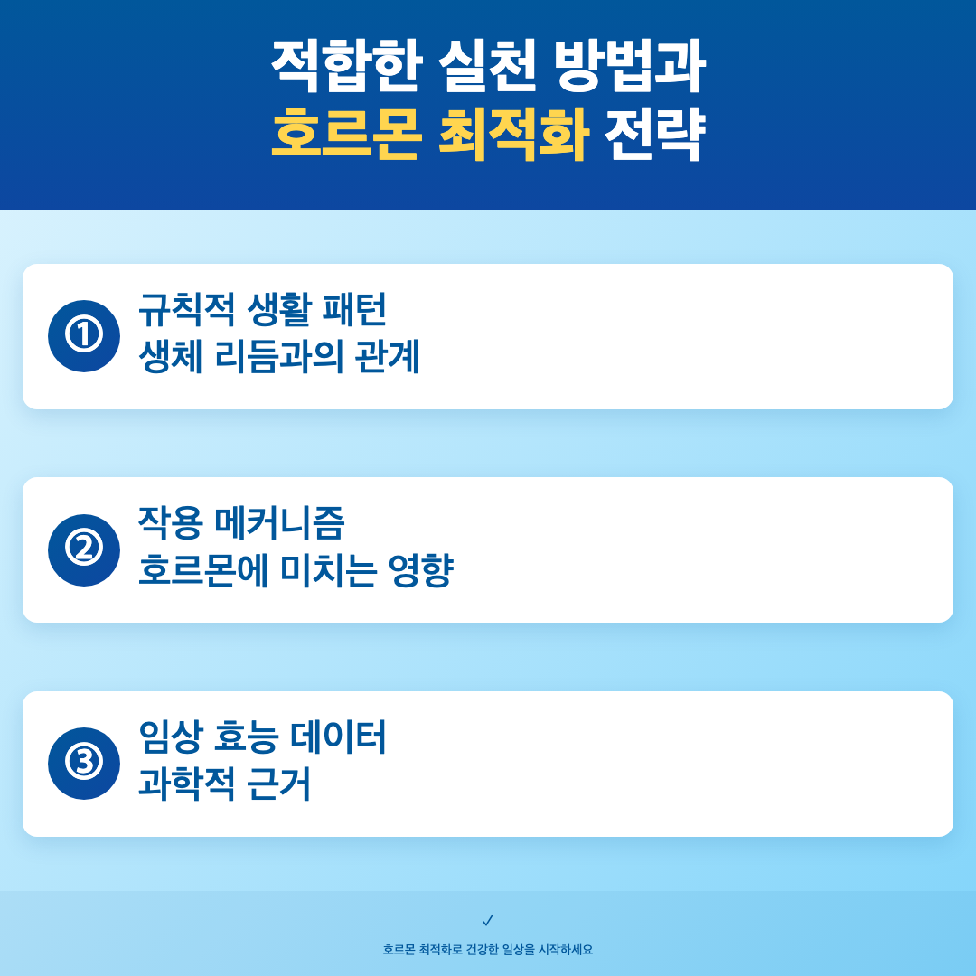 규칙적 생활 패턴이 호르몬 균형을 바꾸는 과학적 이유 이미지 4