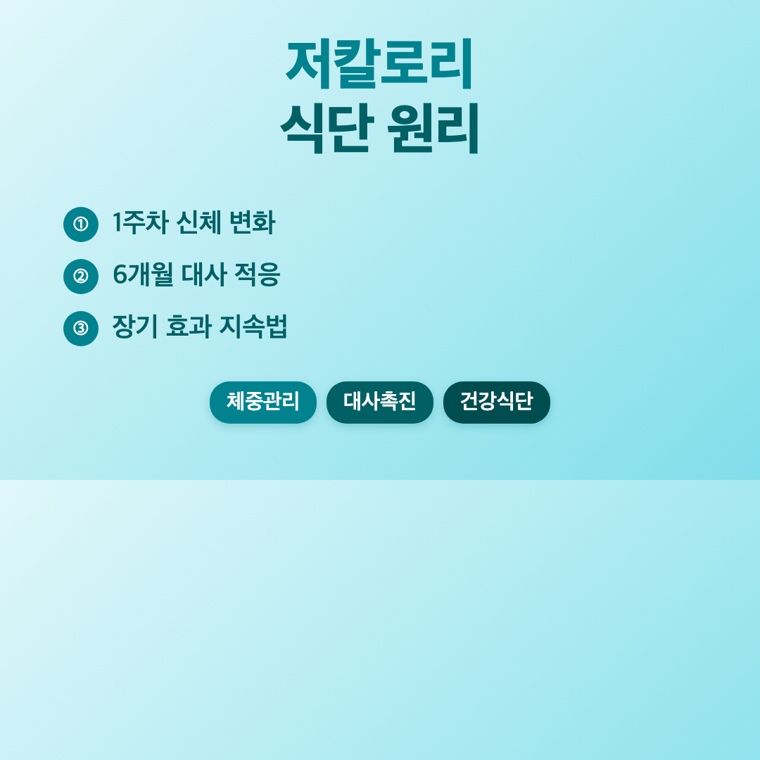 저칼로리 식단 원리 - 저칼로리 식단 구성 방법