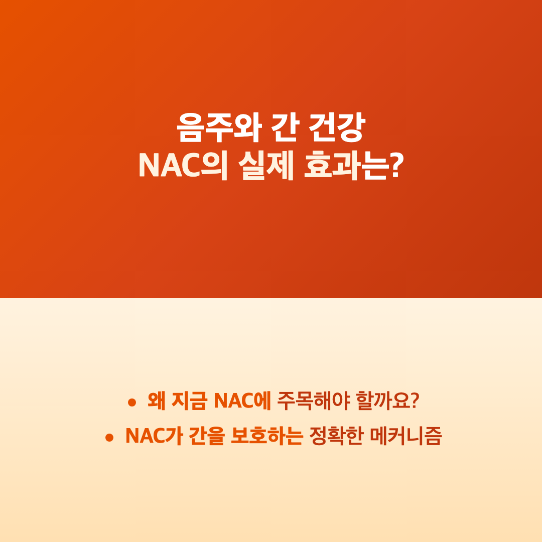 NAC 아세틸시스테인 간 해독 효과: 연구로 본 작용과 복용 기준 이미지 4