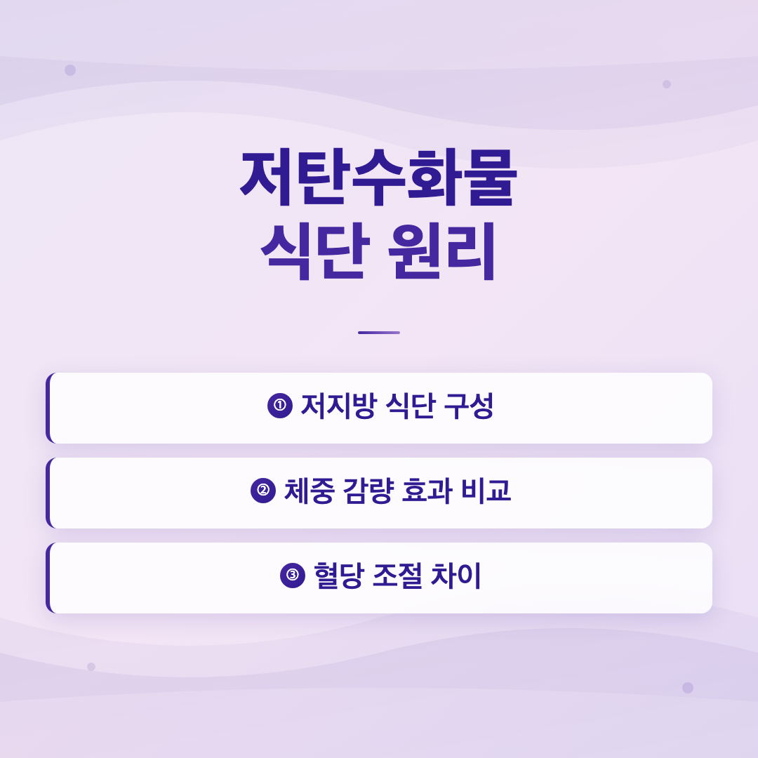 저탄수화물 식단 원리 - 저탄수화물 식단 효과 방법