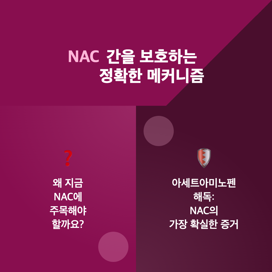 NAC 아세틸시스테인 간 해독 효과: 연구로 본 작용과 복용 기준 이미지 2