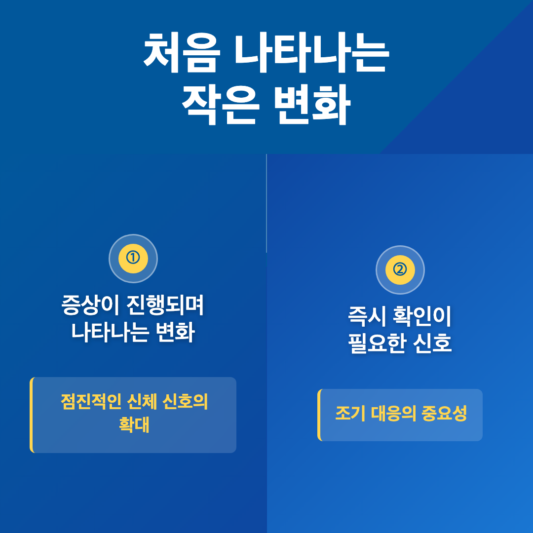 처음 나타나는 작은 변화 - 갱년기 증상 완화 음식