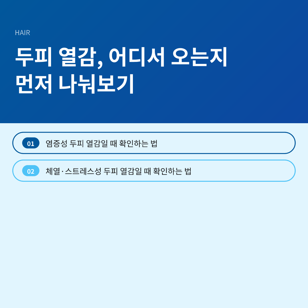 두피 열감, 어디서 오는지 먼저 나눠보기 - 두피 열 내리기 방법 추천