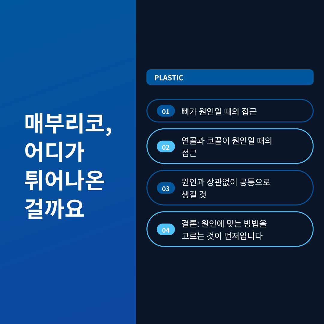 매부리코, 어디가 튀어나온 걸까요
