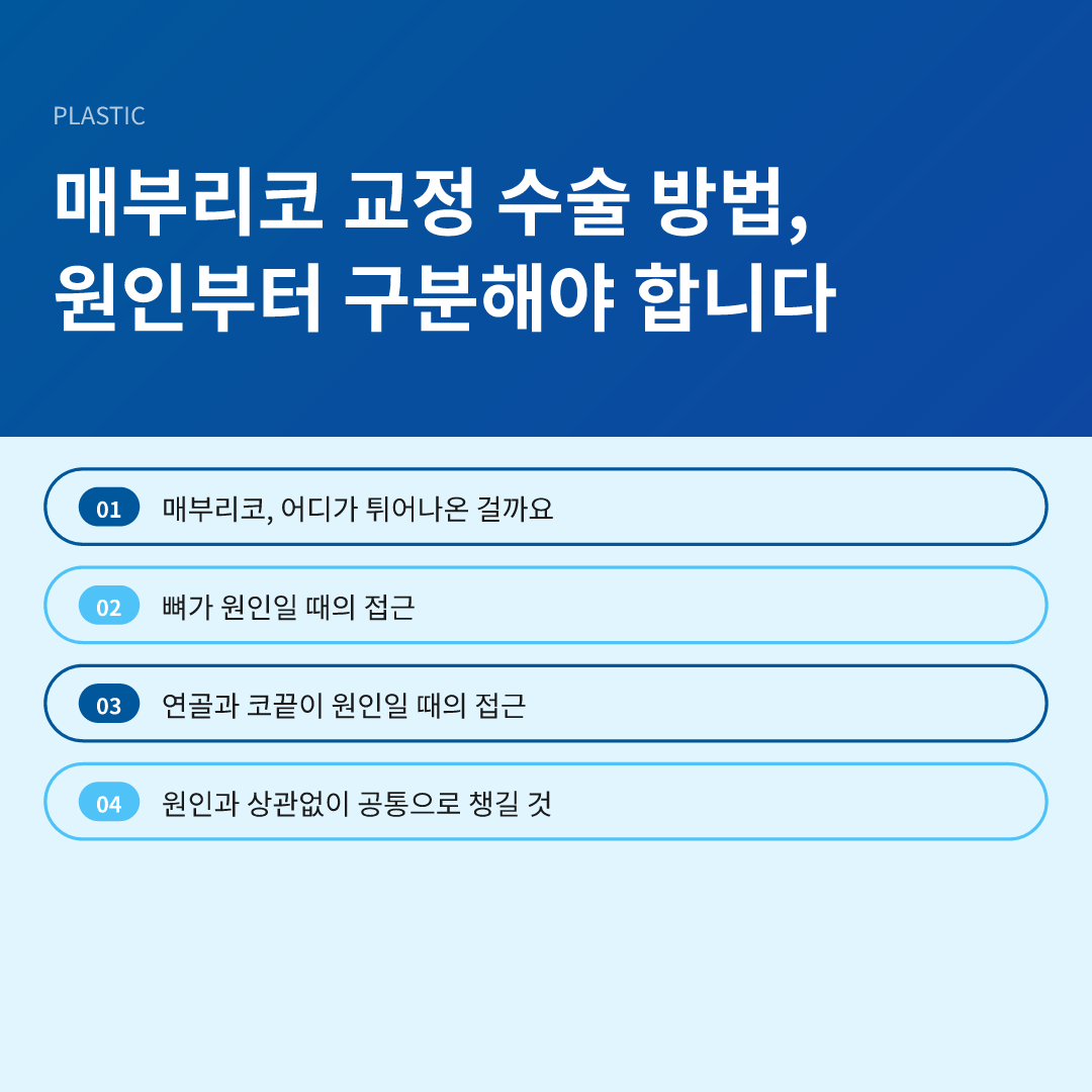 매부리코 교정 수술 방법, 원인부터 구분해야 합니다 - 매부리코 교정 수술 방법