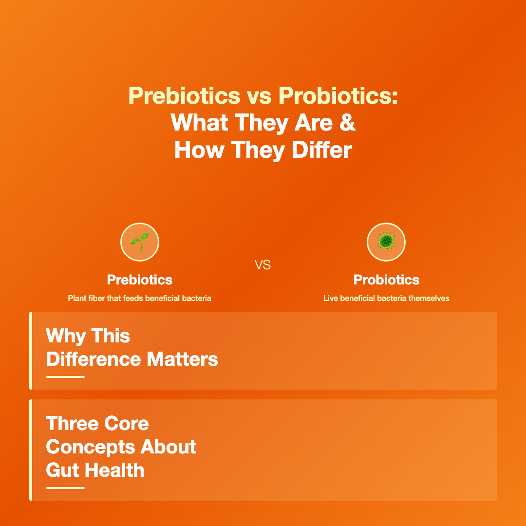 What Are Prebiotics and Probiotics? - prebiotics vs probiotics difference