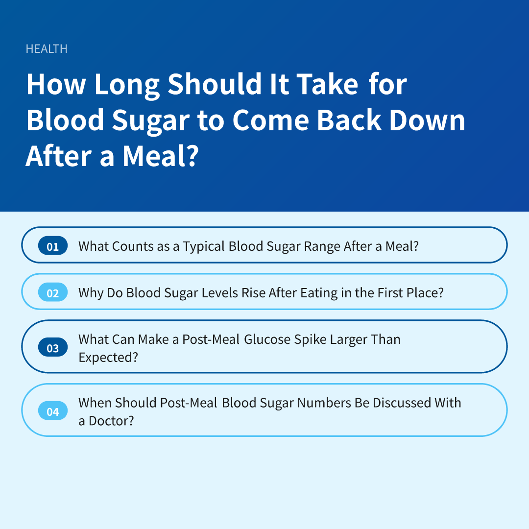 How Long Should It Take for Blood Sugar to Come Back Down After a Meal?