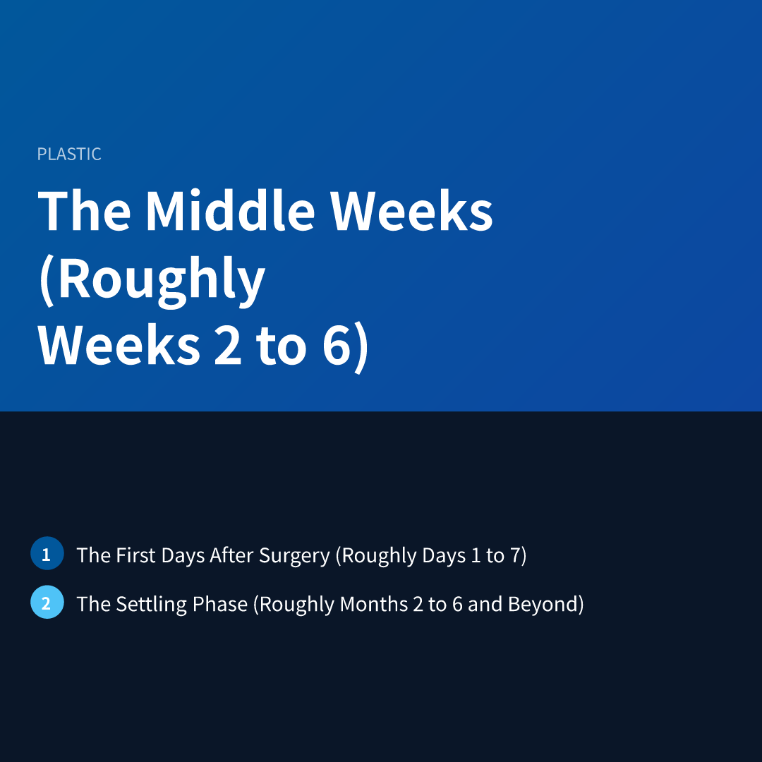 The Middle Weeks (Roughly Weeks 2 to 6)