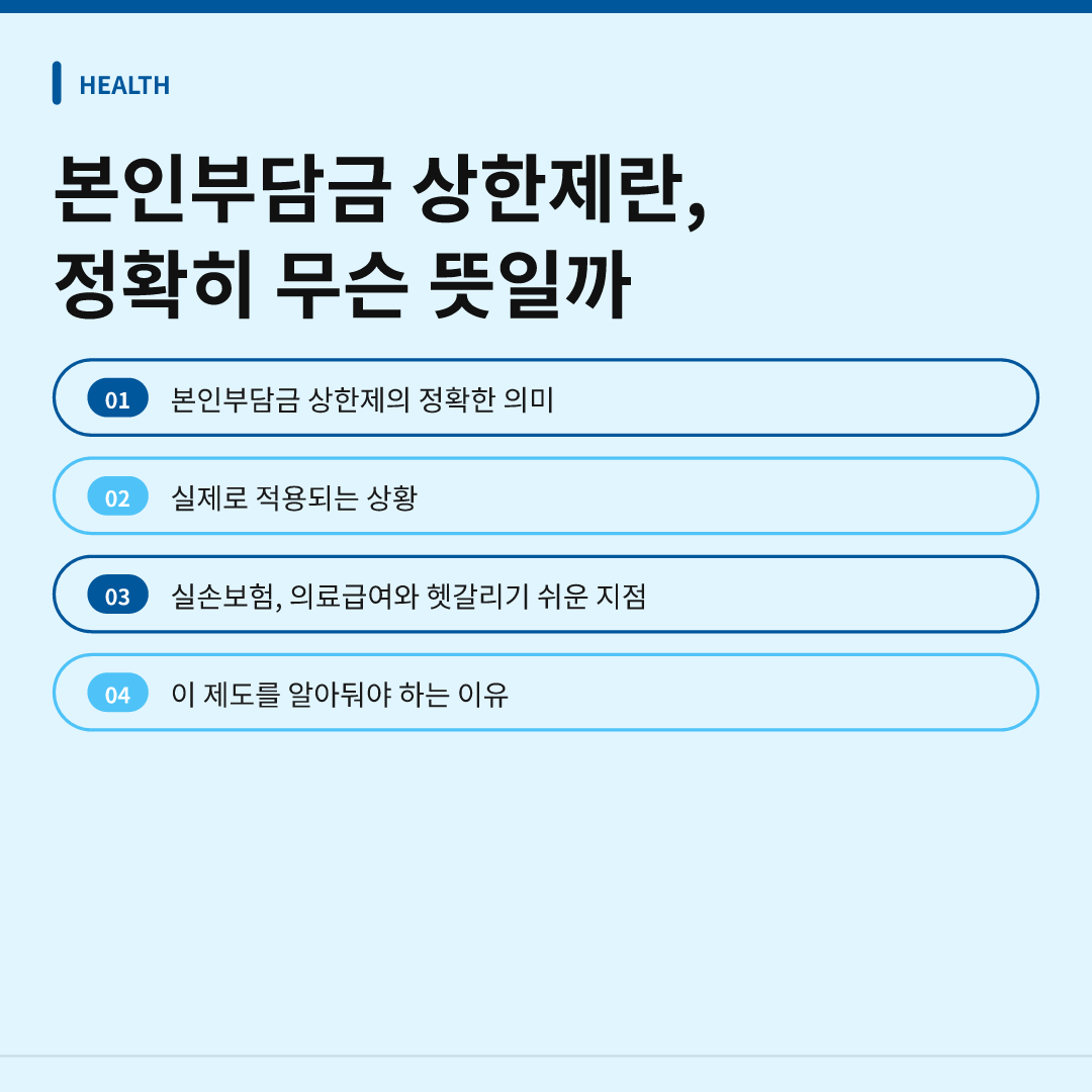 본인부담금 상한제란, 정확히 무슨 뜻일까 - 본인부담금 상한제란