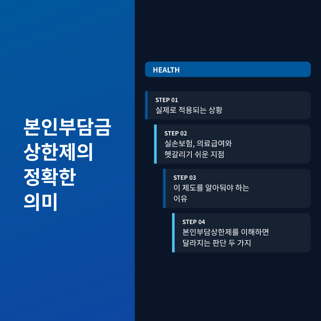 본인부담금 상한제의 정확한 의미