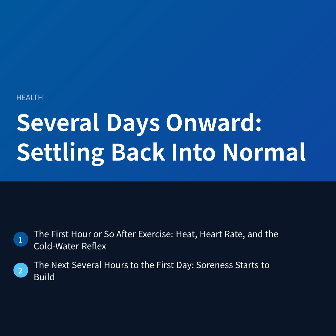 Several Days Onward: Settling Back Into Normal