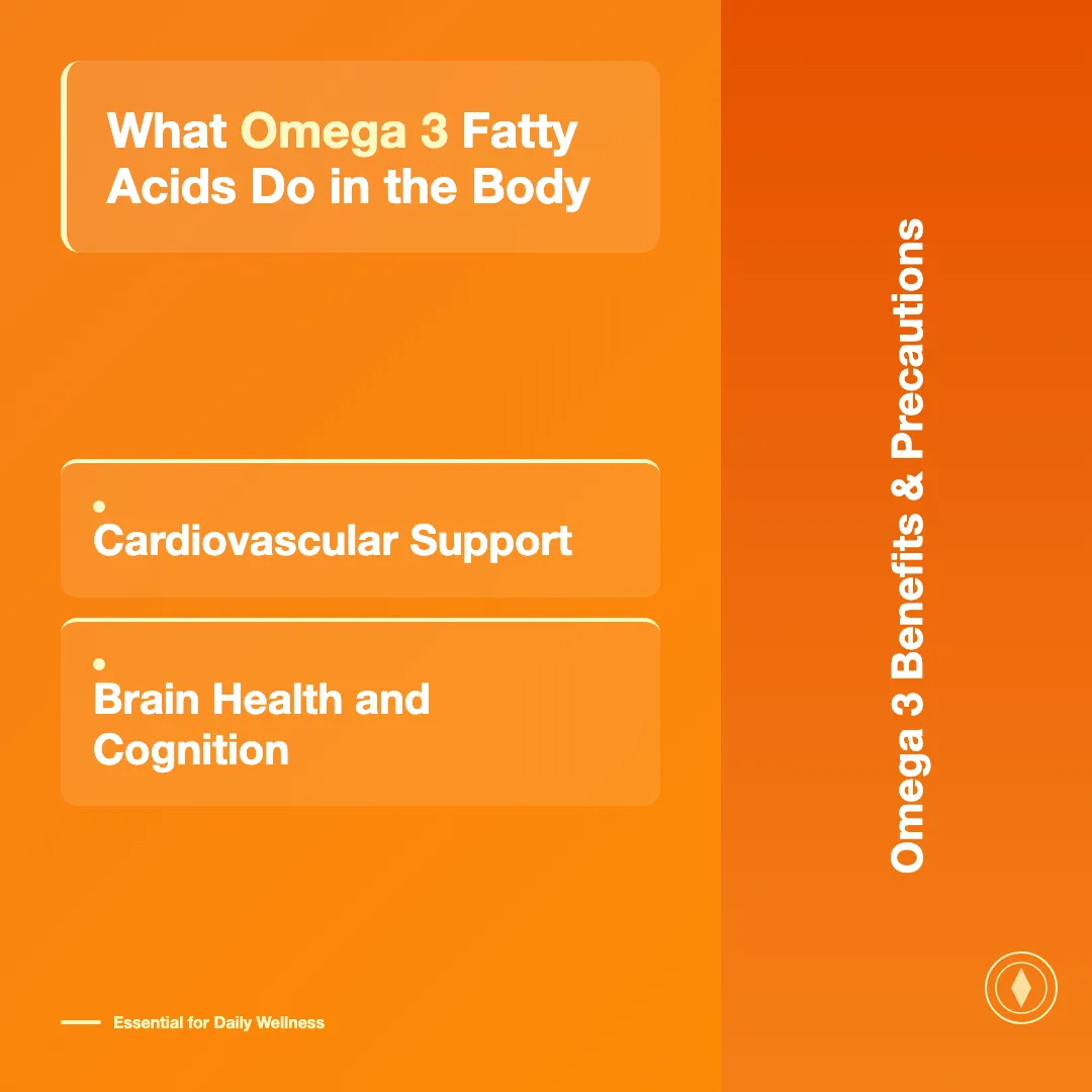 What Omega 3 Fatty Acids Do in the Body - omega 3 benefits and precautions