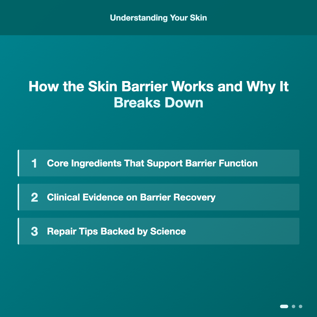 How the Skin Barrier Works and Why It Breaks Down - skin barrier repair tips