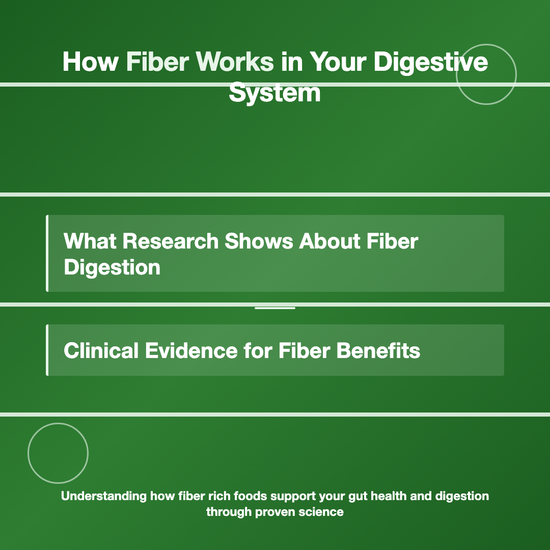 How Fiber Rich Foods Support Your Gut Health and Digestion image 2