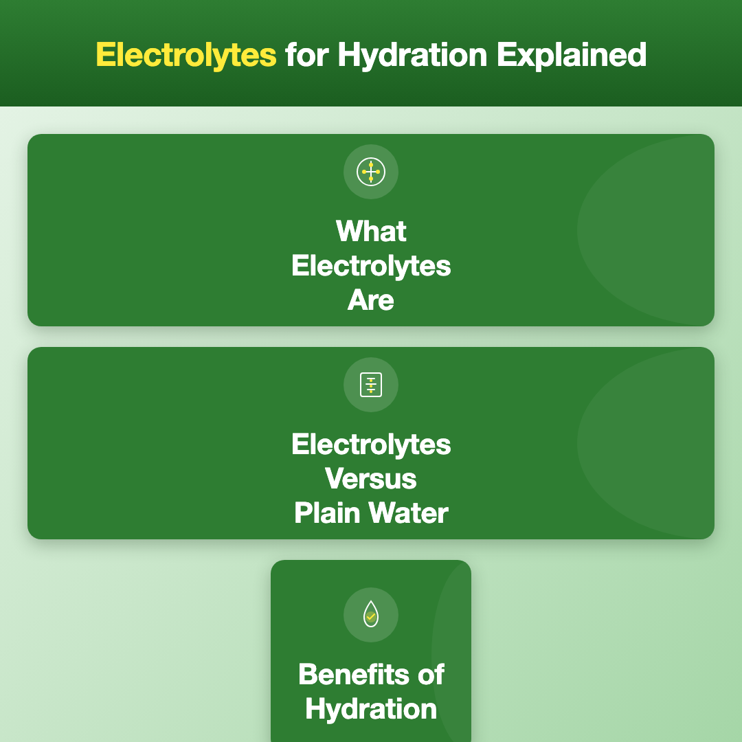 Electrolytes for Hydration Explained image 2