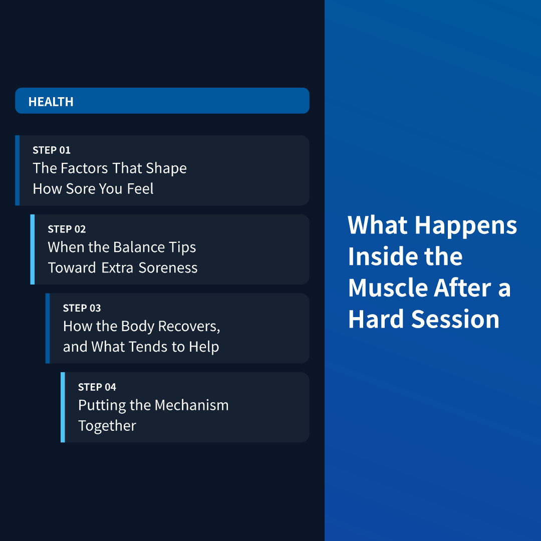 What Happens Inside the Muscle After a Hard Session